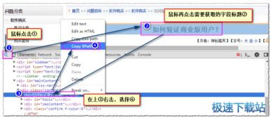 掌握电脑软件 从入门到精通的实用指南